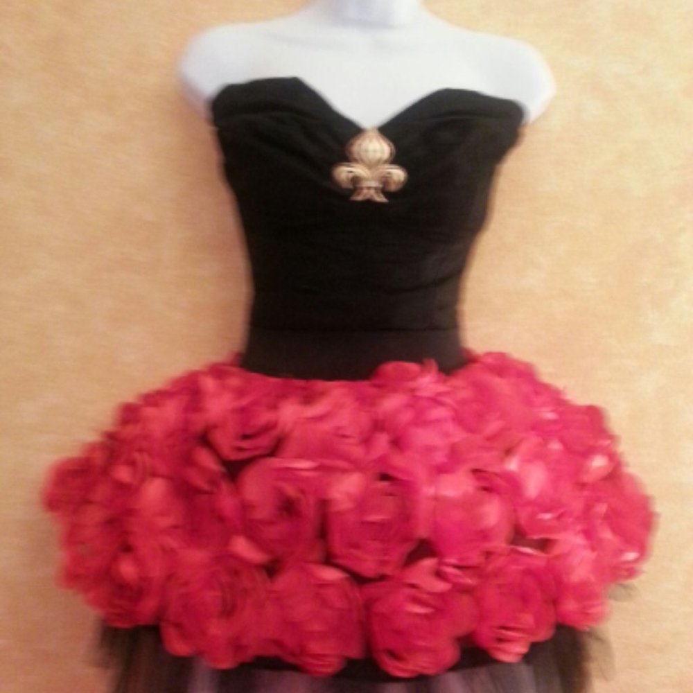 Red & Black Corset 3D Rosette Tutu Mini Dress